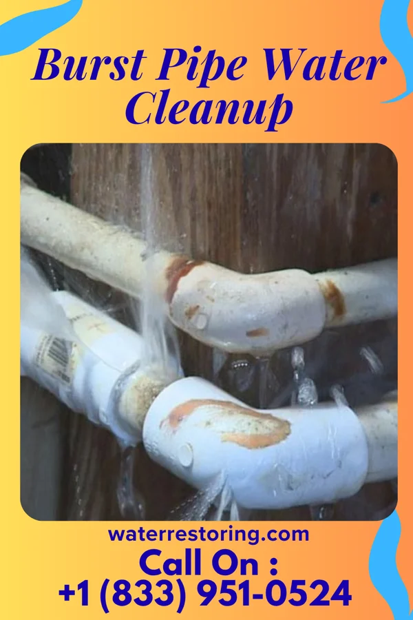 Burst Pipe Water Cleanup in Red Lake, AZ